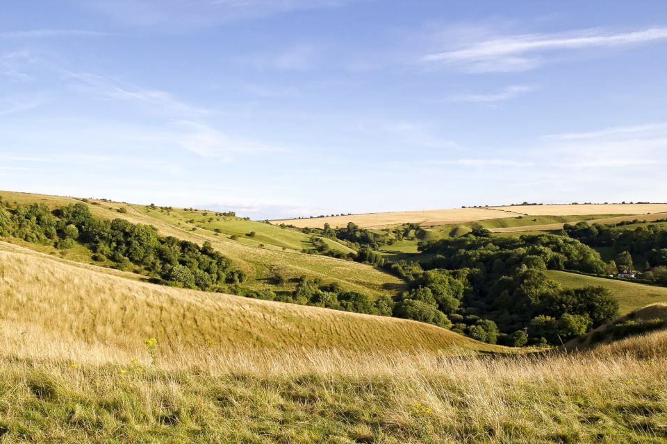 From London: Stonehenge and Bath Day Trip with Ticket - Should you book this trip?