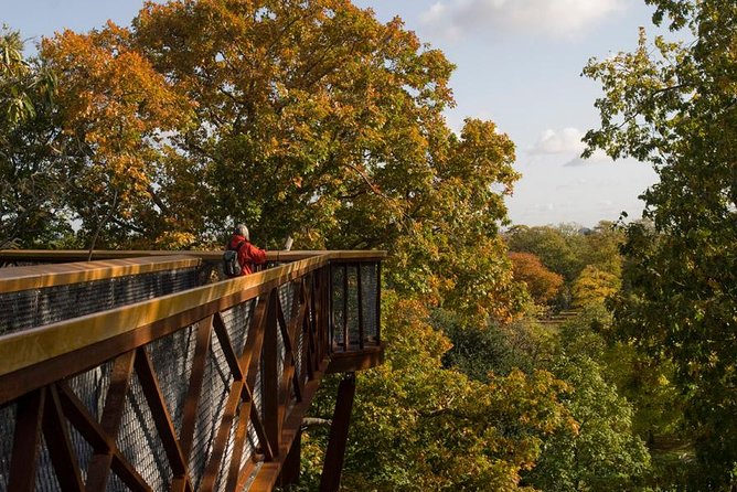 Kew Gardens Entrance Ticket - Key highlights you should care about