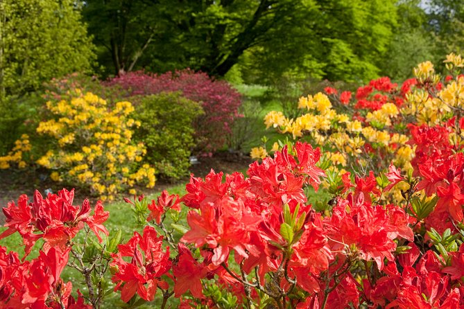 Kew Gardens Entrance Ticket - A smart walking route: from gardens to the glasshouses