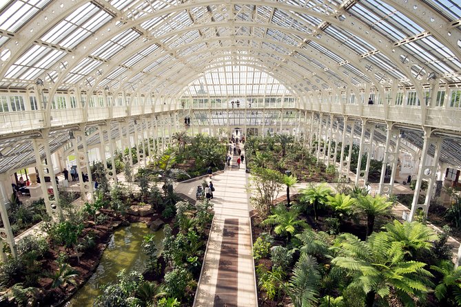 Kew Gardens Entrance Ticket - Xstrara Treetop Walkway: the canopy view that fixes your photo angles