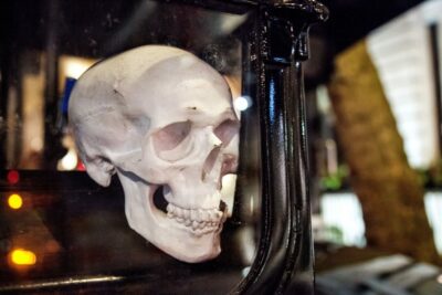 London: Comedy Horror Ghost Tour on a Bus - Price and Value: What $37 Buys on the Necrobus