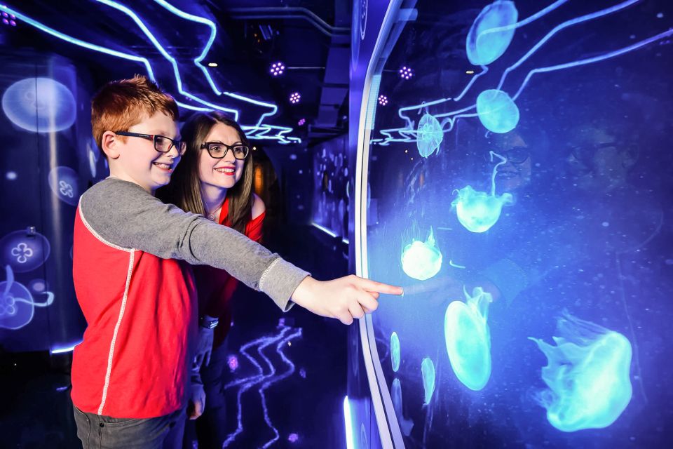 London: SEA LIFE Entry Ticket - Practical tips before you go (so your scan goes smoothly)