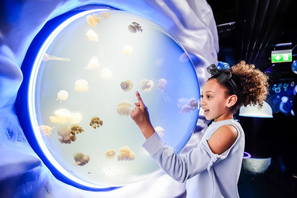 London: SEA LIFE Entry Ticket - SEA LIFE London Aquarium: what the timed ticket really feels like