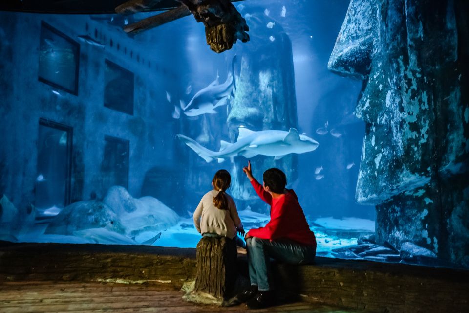 London: SEA LIFE Entry Ticket - The suspended glass shark platform: the moment people talk about