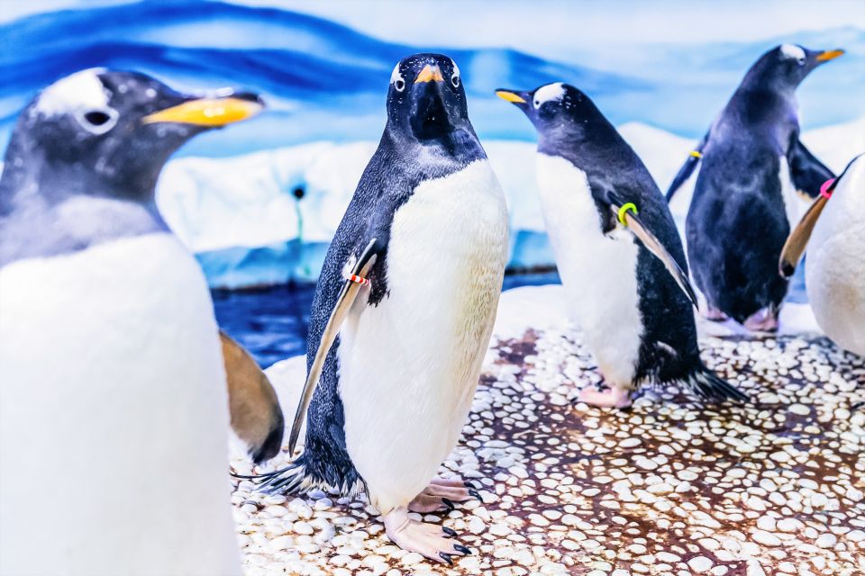 London: SEA LIFE Entry Ticket - Sea creatures you can actually spot: turtles, seahorses, and more