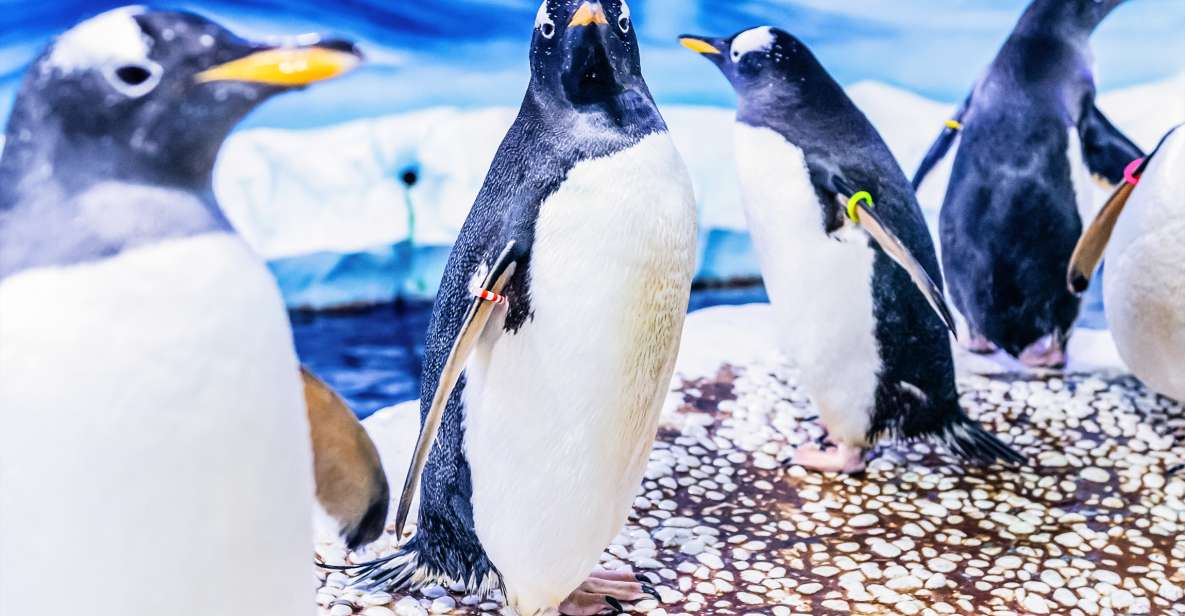 London: SEA LIFE Entry Ticket - Rainforest Adventure with Ranger Andy: the most story-driven part