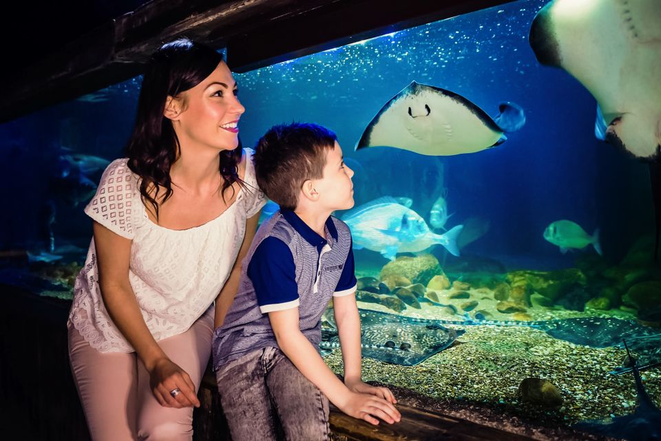 London: SEA LIFE Entry Ticket - So how long does it take in real life?