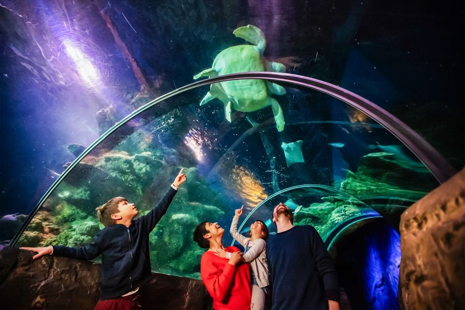 London: SEA LIFE Entry Ticket - Price and value: is $37 per person a good deal?