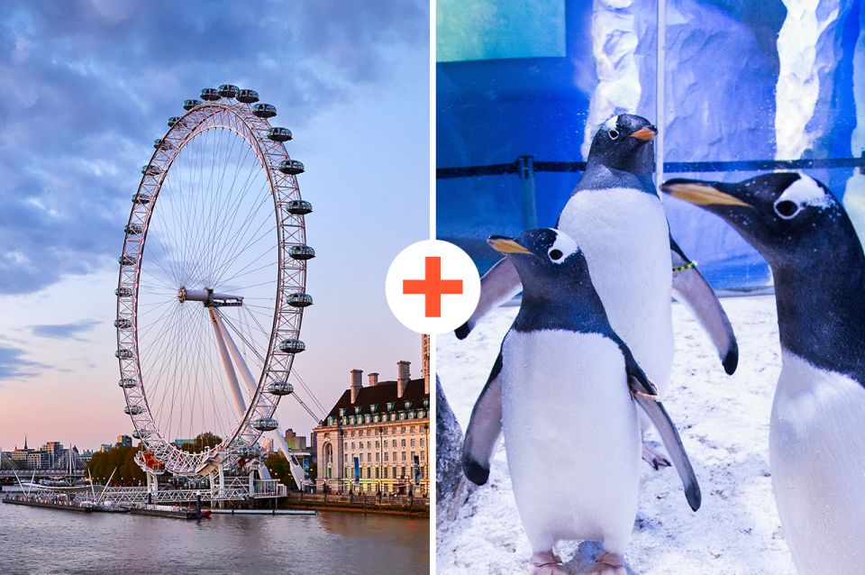 London: SEA LIFE & London Eye Combo Ticket - Key highlights to watch for