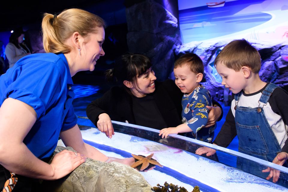 London: SEA LIFE & London Eye Combo Ticket - Should you book the SEA LIFE London Aquarium and London Eye combo?
