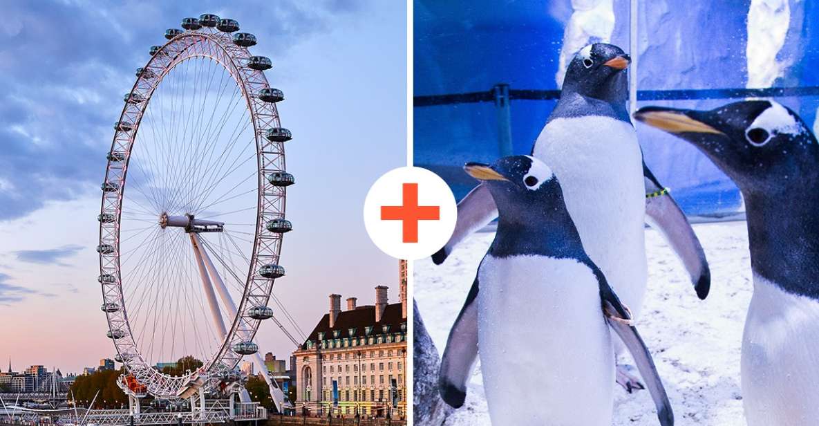 London: SEA LIFE & London Eye Combo Ticket - Price and value: is $66 per person a good deal?