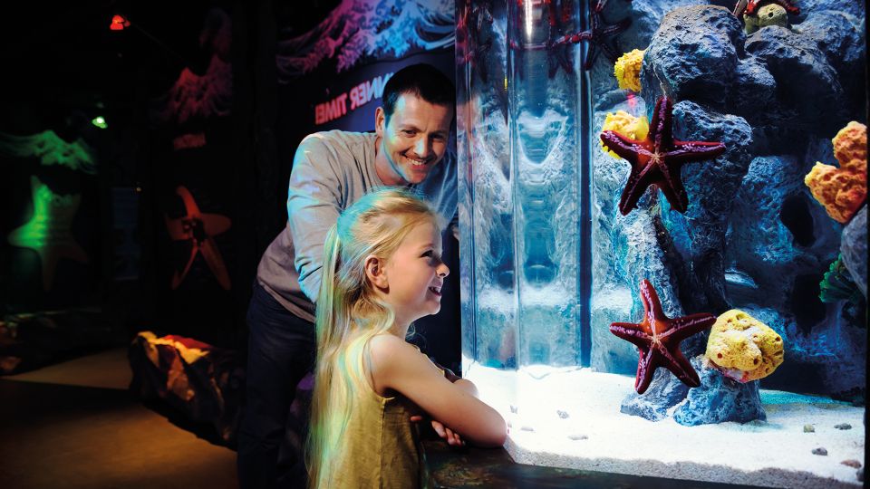 London: SEA LIFE & London Eye Combo Ticket - Who this is best for (and who may not love it)