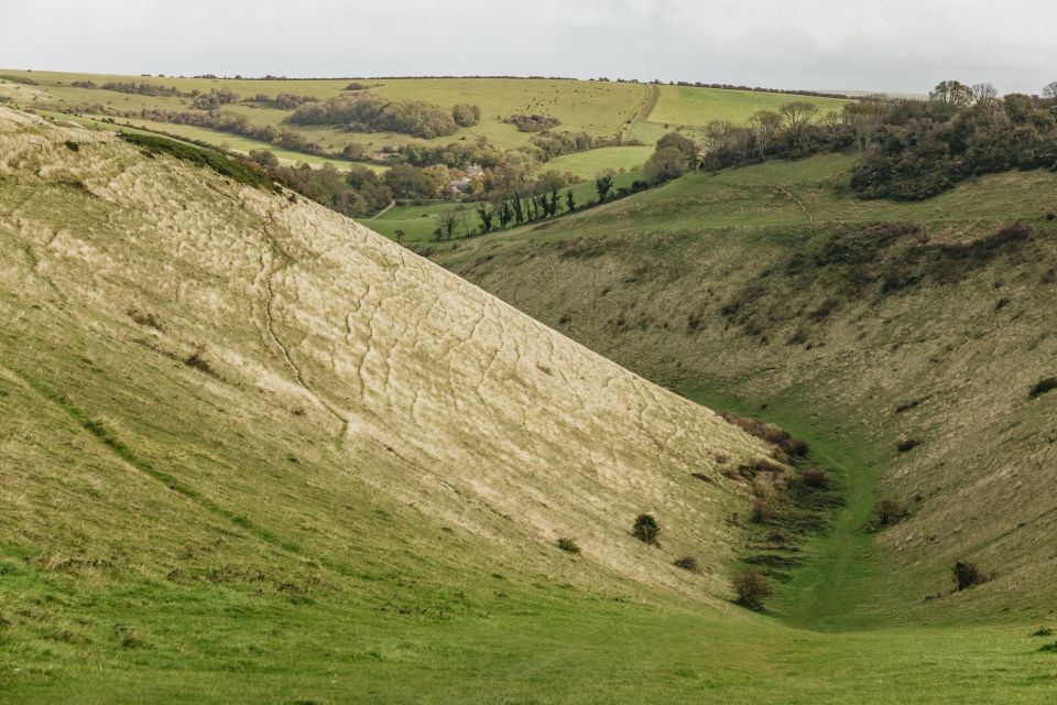 London: South Downs White Cliffs Day Trip with Train Tickets - A South Downs day trip that actually feels like it’s in the country