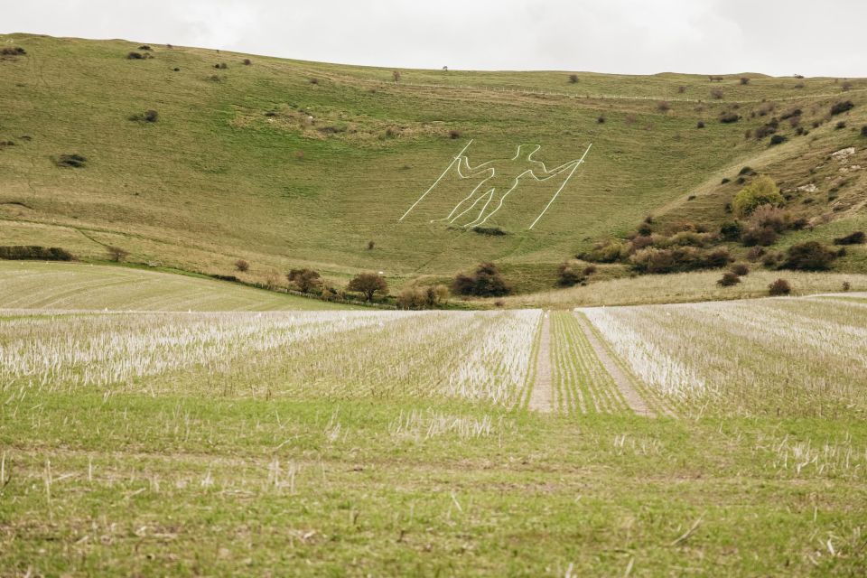 London: South Downs White Cliffs Day Trip with Train Tickets - Brighton first, then the Sussex minibus: how the day flows