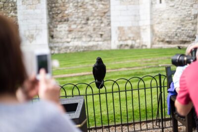 London: Tower of London Tour with Crown Jewels & Beefeaters - Skipping the ticket line, then getting your bearings inside