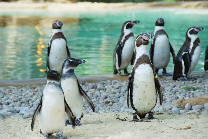 London Zoo: Entry Ticket - A Big-City Zoo Day That Actually Feels Like a Plan