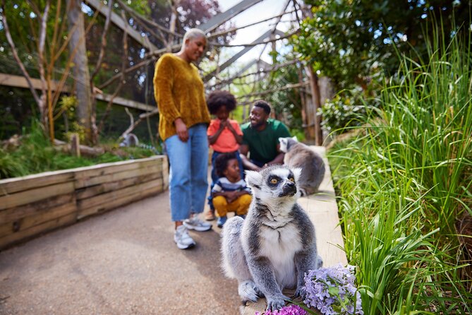 London Zoo: Entry Ticket - Timing: Plan for the One-Hour-Left Reality