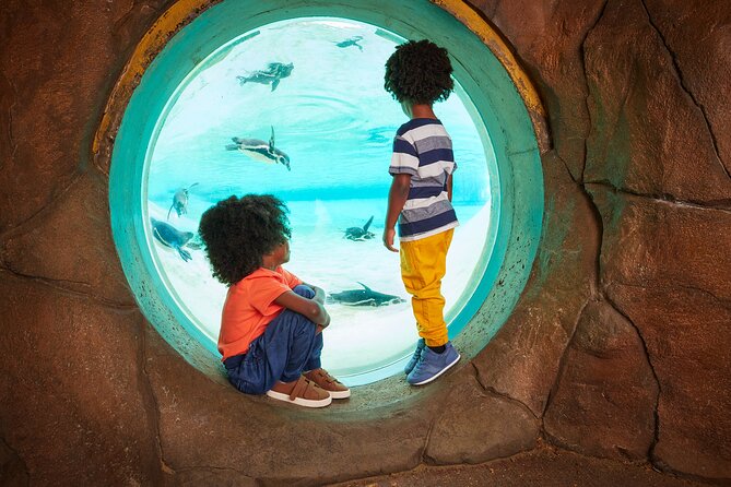 London Zoo: Entry Ticket - Land of the Lions: Asiatic Lions and Those Indian-Themed Walkways
