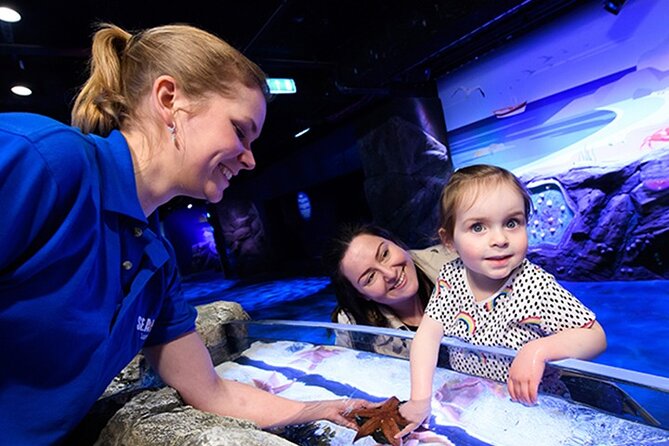 SEA LIFE London Aquarium Admission Ticket - SEA LIFE London Aquarium Tickets: The Fast Version of What You’re Buying