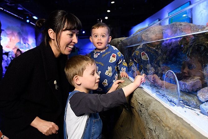 SEA LIFE London Aquarium Admission Ticket - Atlantic Ocean Exhibits and Live Feedings: Where the Route Changes Pace