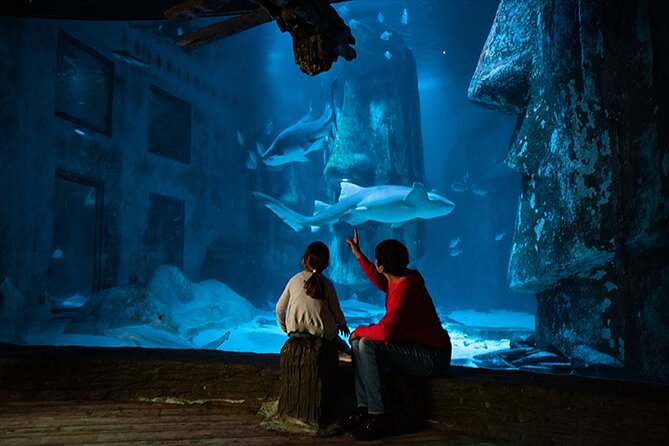 SEA LIFE London Aquarium Admission Ticket - Pacific Zone and the Shark Walk: The Moment You Came For
