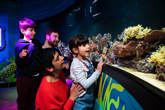 SEA LIFE London Aquarium Admission Ticket - Rainforest Adventure: Crocodiles and Creepy Crawlies, Not Just Sea Life